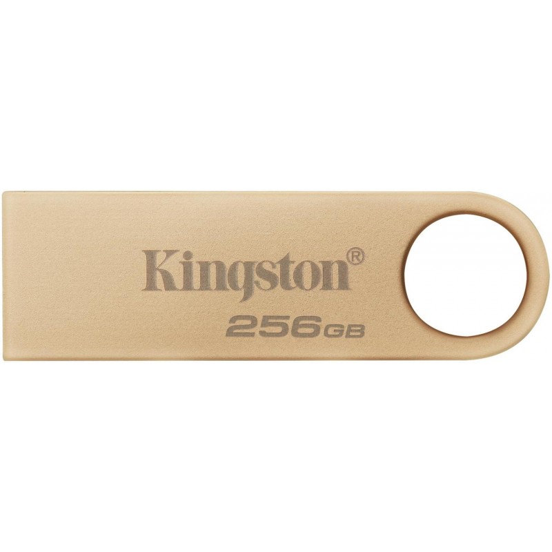 Kingston Накопичувач 256GB USB 3.2 Type-A Gen1 DT SE9 G3
