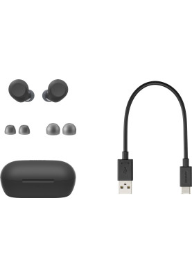 Sony Навушники TWS WF-C710N BT 5.3, ANC, IPX4, SBC, AAC, Mic, Чорний