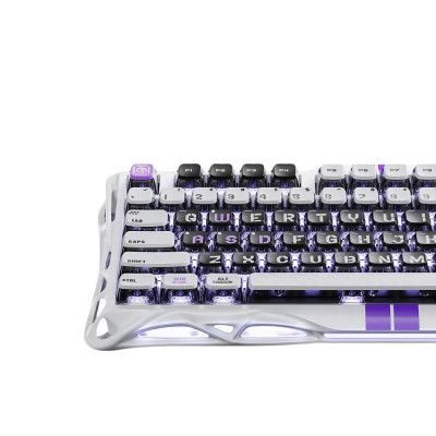 GravaStar Клавіатура механічна Mercury V75 80keys, Magnetic Jade Pro, 8K, USB-A, RGB, Mecha Gray
