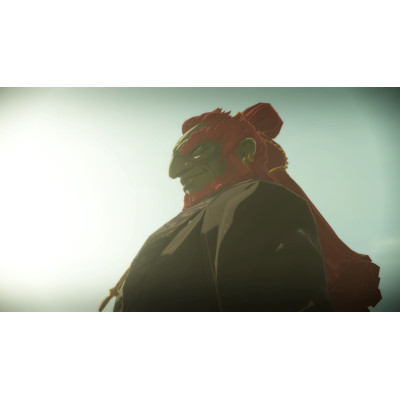 Games Software Гра консольна Switch 2 HYRULE WARRIORS AGE OF IMPRISONMENT, картридж