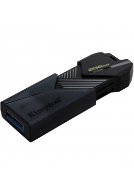 Kingston Накопичувач 256GB USB 3.2 Type-A Gen1 DT Exodia Onyx