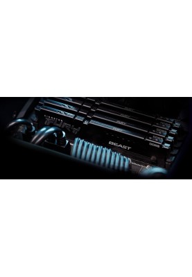 Kingston Пам'ять ПК DDR5 32GB KIT (16GBx2) 6000 FURY Beast EXPO