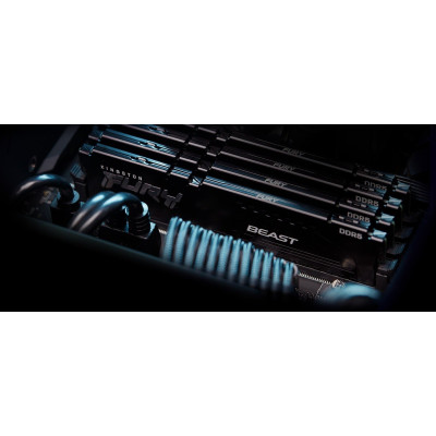 Kingston Пам'ять ПК DDR5 32GB KIT (16GBx2) 6000 FURY Beast EXPO