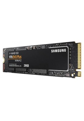 Samsung 970 EVO PLUS[MZ-V7S250BW]