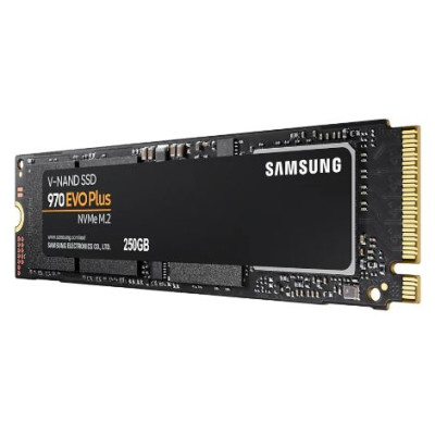 Samsung 970 EVO PLUS[MZ-V7S250BW]
