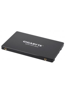 Gigabyte 2.5"[GP-GSTFS31100TNTD]