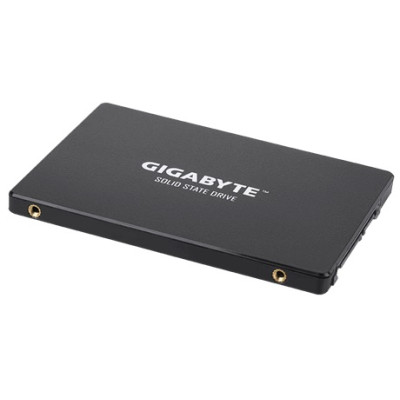 Gigabyte 2.5"[GP-GSTFS31100TNTD]