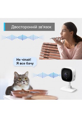 TP-Link IP-Камера TP-LINK Tapo TC60 FHD N300 microSD motion detection