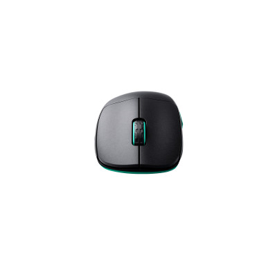 Cherry Xtrfy Миша M64, WL/USB-A, RGB, чорний