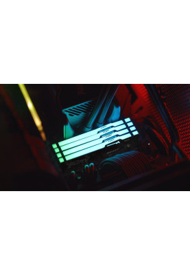 Kingston Пам'ять до ПК DDR5 5600 8GB Beast Black RGB