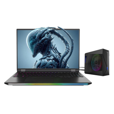 Dream Machines Ноутбук RX5090-16 16WQXGA, Intel U9-275HX, 32GB, F2TB, NVD5090-24, DOS, чорний