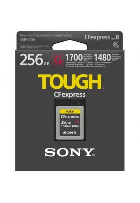 Sony CFexpress Type B[CEBG256.SYM]