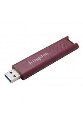 Kingston Накопичувач 256GB USB 3.2 Gen 2 DT Max Type-A