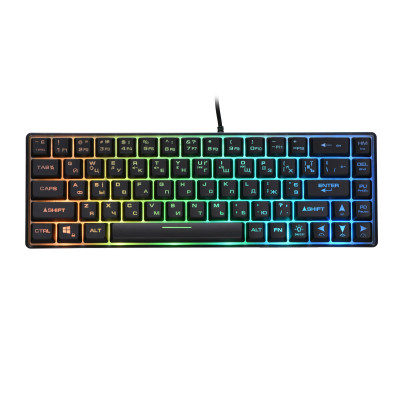 2E Gaming Клавіатура KG345 RGB 68key USB Transparent