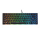 2E Gaming Клавіатура KG345 RGB 68key USB Transparent
