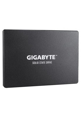 Gigabyte 2.5"[GP-GSTFS31256GTND]