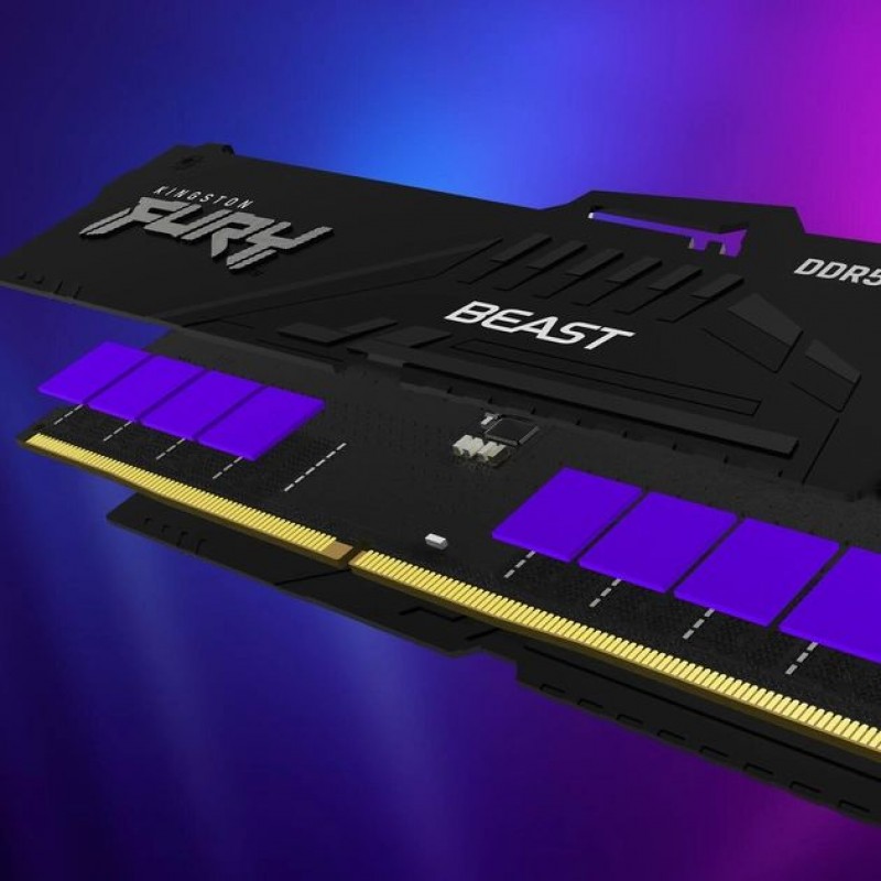 Kingston Пам'ять ПК DDR5 16GB 5600 Beast Black RGB