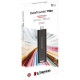 Kingston Накопичувач 1TB USB-C 3.2 Gen 2 DT Max