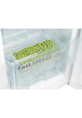 SNAIGE Холодильник з нижн. мороз., 185x60х65, холод.відд.-214л, мороз.відд.-88л, 2дв., A++, ST, сіро-зелений