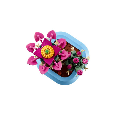 LEGO Конструктор LEGO Botanicals Цвітіння кактуса LEGO Конструктор LEGO Botanicals Цвітіння кактуса