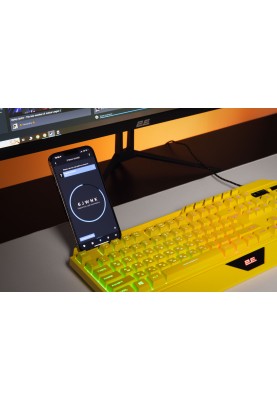 2E Gaming Клавіатура мембранна KG315 110key, USB-A, EN/UA, RGB, жовтий