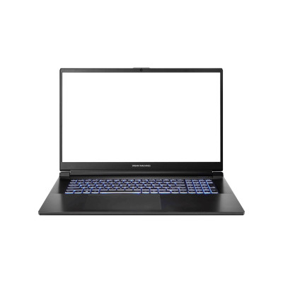 Dream Machines Ноутбук RG4050-17 17.3FHD IPS 144Hz/Intel i7-13700H/32/1024F/NVD4050-6/DOS