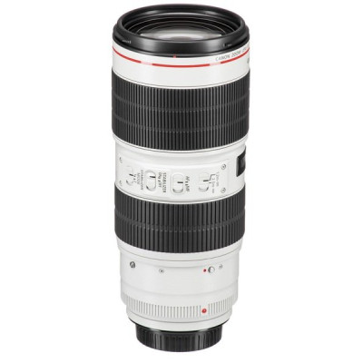 Canon EF 70-200mm f/2.8L IS III USM
