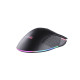 2E Gaming Миша MG350 WL, RGB USB Black