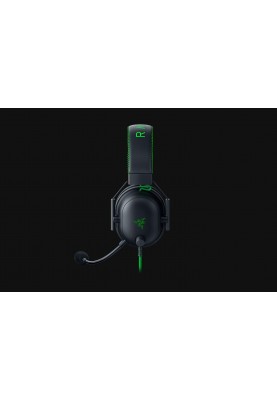 Razer Гарнітура Blackshark V2 + USB Mic Enhancer SE Black/Green
