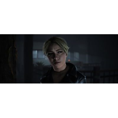 Games Software UNTIL DAWN [BD диск] (PS5)