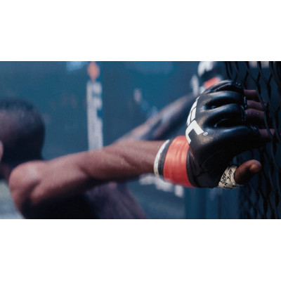 Games Software EA Sports UFC5 [BD диск] (PS5)