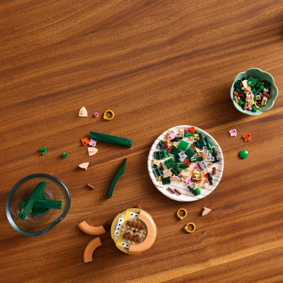 LEGO Конструктор Botanicals Міні орхідея