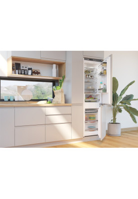 Gorenje Холодильник вбудований з нижн. мороз., 177х55х54см, 2 двері, 180 (68) л, А ++, NF +, Зона св-ті, Внутр. Диспл, Білий