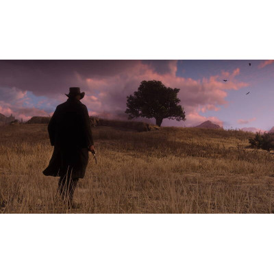 Games Software Red Dead Redemption 2 [Blu-Ray disk] (PS4)
