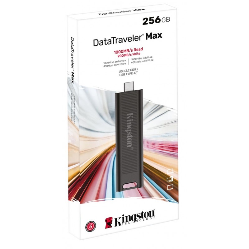 Kingston Накопичувач 256GB USB-C 3.2 Gen 2 DT Max