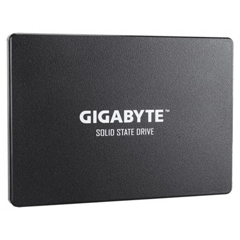 Gigabyte 2.5"[GP-GSTFS31480GNTD]