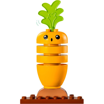 LEGO Конструктор DUPLO My First Органічний город