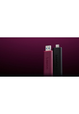 Kingston Накопичувач 256GB USB 3.2 Gen 2 DT Max Type-A