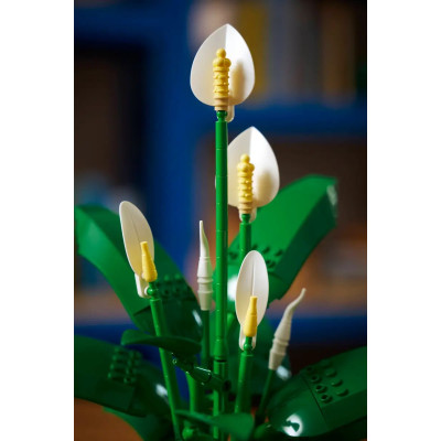 LEGO Конструктор LEGO Botanicals Спатифілум LEGO Конструктор LEGO Botanicals Спатифілум