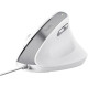 Trust Миша Trust Bayo 2 Ergonomic, USB-A, біла