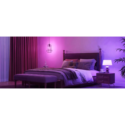 Govee Лампа розумна H600C, E14, 5W, 450Lm, 2700K-6400K, RGBWW, WI-FI/Bluetooth, білий