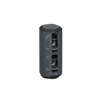 Sony Акустична система SRS-XE300 Чорний SRSXE300B.RU2