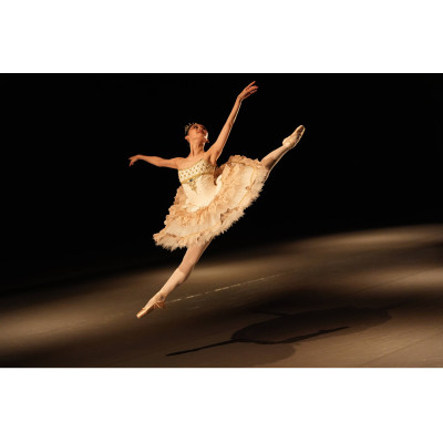 Sony Об'єктив 28-70mm f/2.0 GM для NEX FF Sony Об'єктив 28-70mm f/2.0 GM для NEX FF