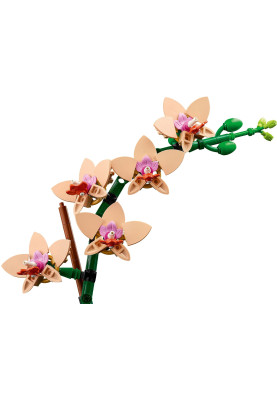 LEGO Конструктор Botanicals Міні орхідея