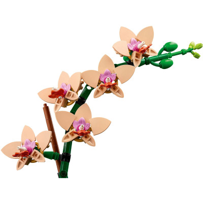 LEGO Конструктор Botanicals Міні орхідея