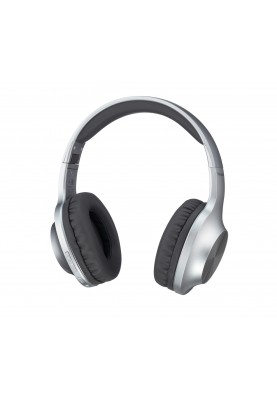 Panasonic Навушники RB-HX220BEES Over-ear Wireless Mic Сільвер