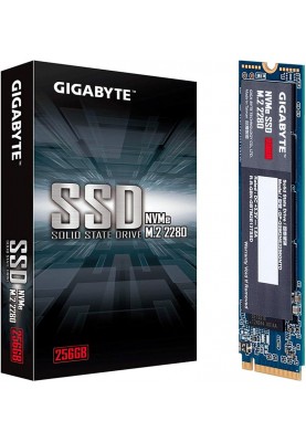 Gigabyte NVMe SSD[GP-GSM2NE3256GNTD]