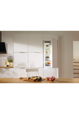 Gorenje Холодильник вбудований з нижн. мороз., 177х55х54см, 2 двері, 180 (68) л, А ++, NF +, Зона св-ті, Внутр. Диспл, Білий