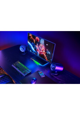 Razer Акустична система Razer V2 X USB-A, чорний