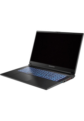 Dream Machines Ноутбук RG4060-17 17.3FHD IPS, Intel i7-14650HX, 16GB, F1TB, NVD4060-8, DOS, чорний